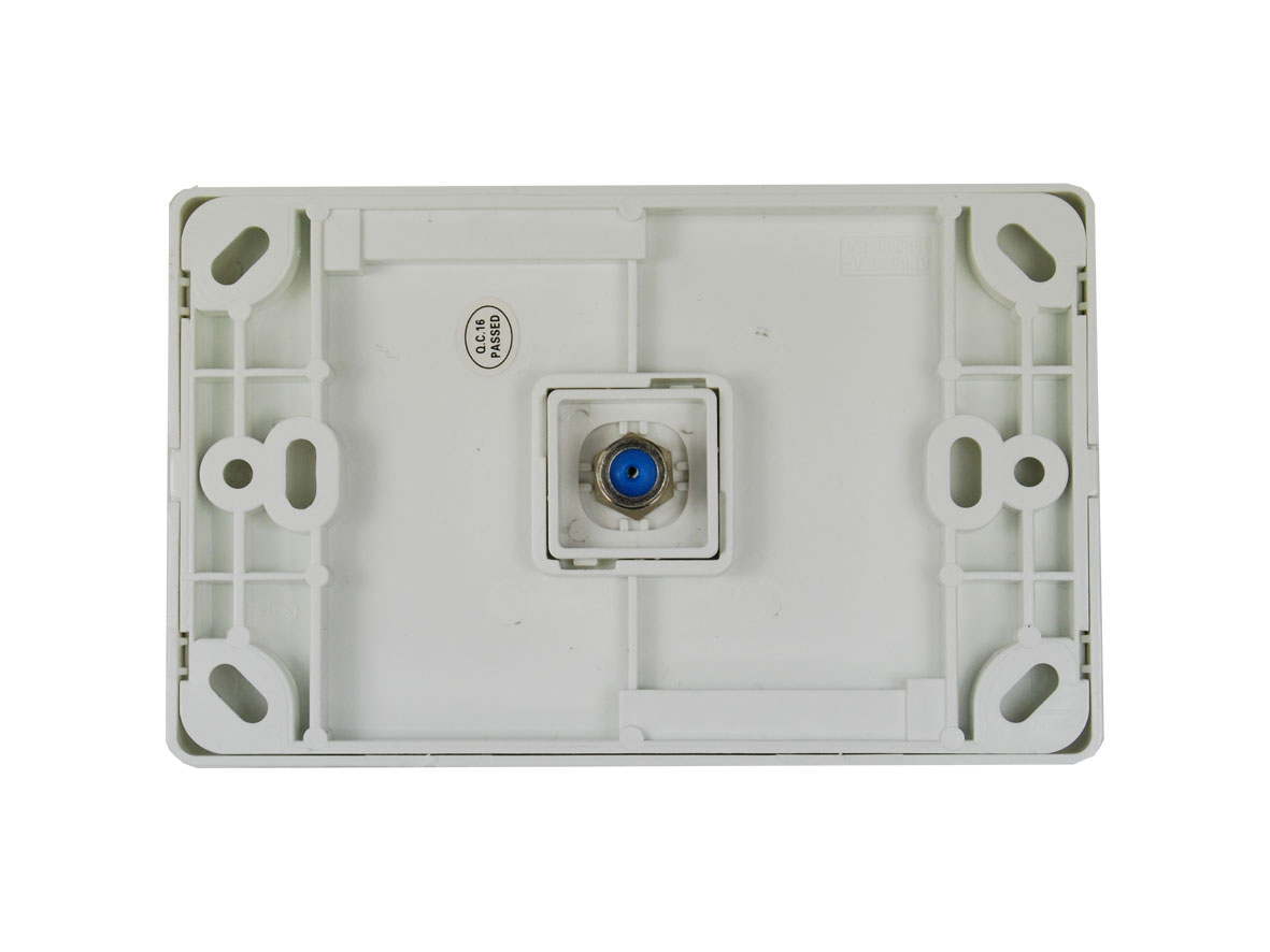 Classic TV Pal to F Wall Plate